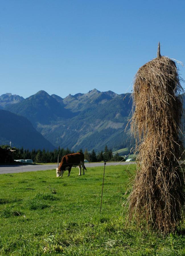 Landl Vorberg Βίλα Ramsau am Dachstein Εξωτερικό φωτογραφία