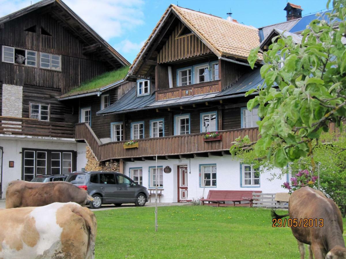 Landl Vorberg Βίλα Ramsau am Dachstein Εξωτερικό φωτογραφία