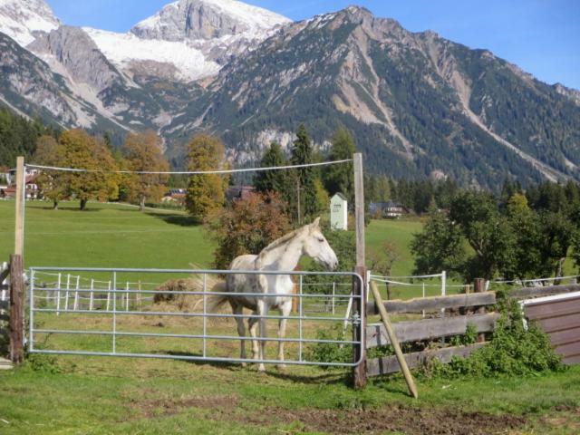 Landl Vorberg Βίλα Ramsau am Dachstein Εξωτερικό φωτογραφία